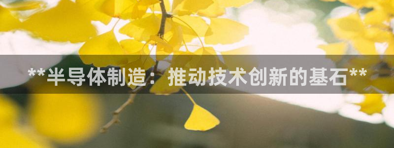 新版彩神v8登录不了：**半导体制造：推动技术创新的基石**