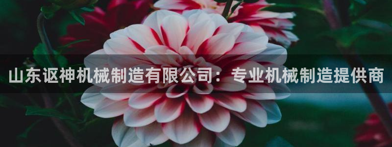 彩神争霸官方登录：山东讴神机械制造有限公司：专业机械制造提供商