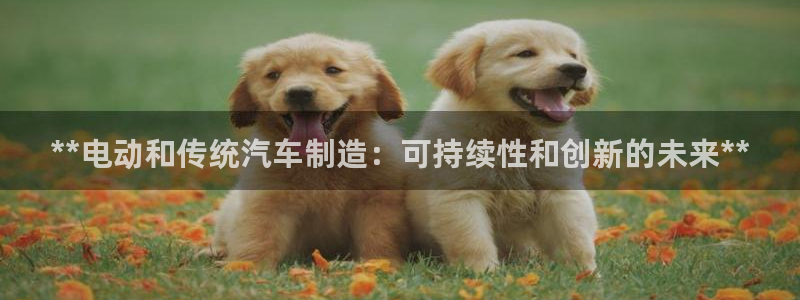大发彩神最高邀请码：**电动和传统汽车制造：可持续性和创新的