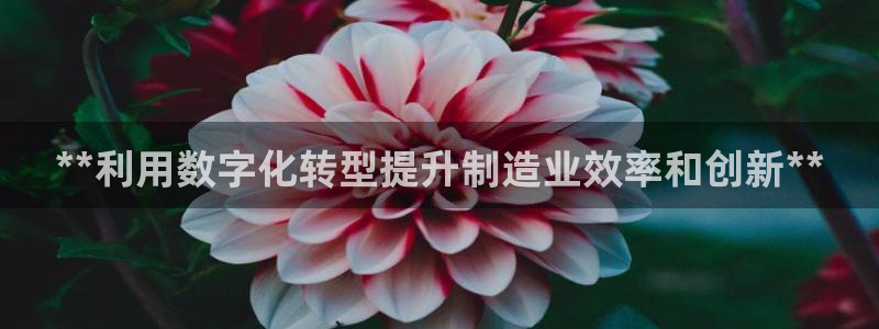 彩神购彩-购彩大厅入口娱乐首选：**利用数字化转型提升制造业效率和创新**