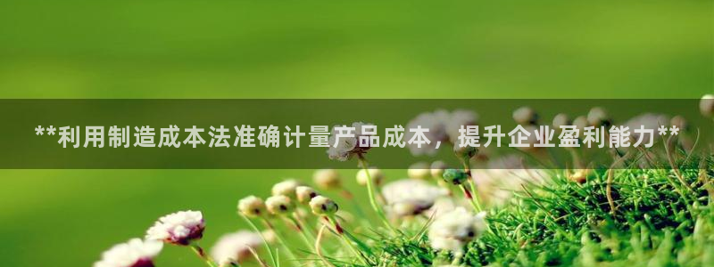 彩神8是正规平台吗知乎：**利用制造成本法准确计量产品成本，提升企业盈利能力**