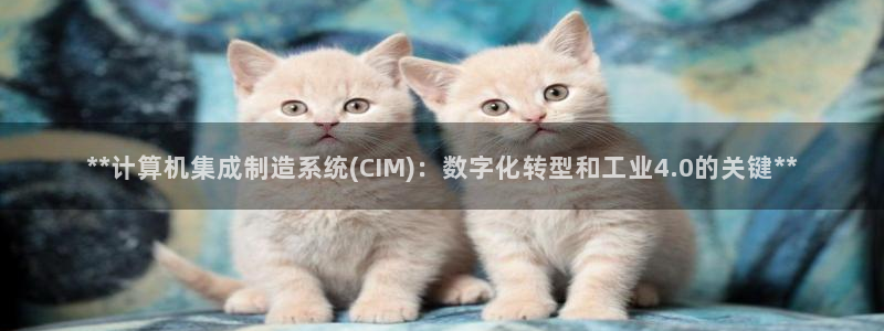 下载彩神争霸谁与我争锋：**计算机集成制造系统(CIM)：数