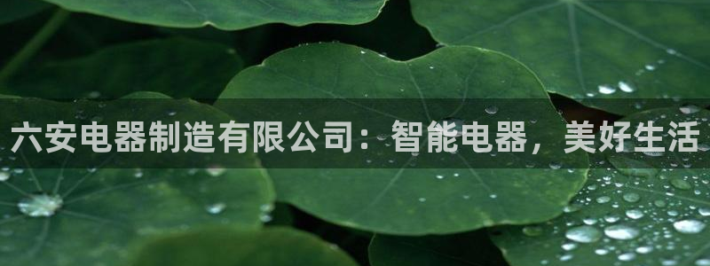 彩神这个平台是真的吗：六安电器制造有限公司：智能电器，美好生活