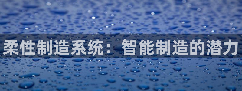 彩神V集团公司：柔性制造系统：智能制造的潜力