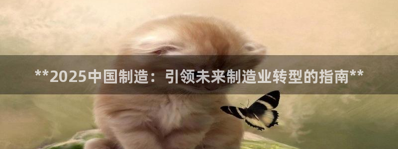 彩神v破解版：**2025中国制造：引领未来制造业转型的指南**
