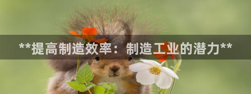 彩神是正规平台吗：**提高制造效率：制造工业的潜力**