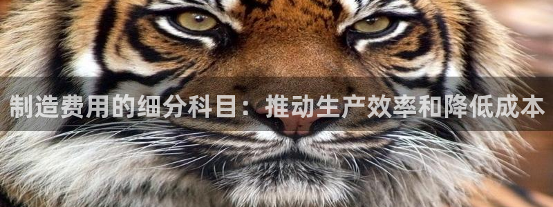 彩神8官网500：制造费用的细分科目：推动生产效率和降低成本