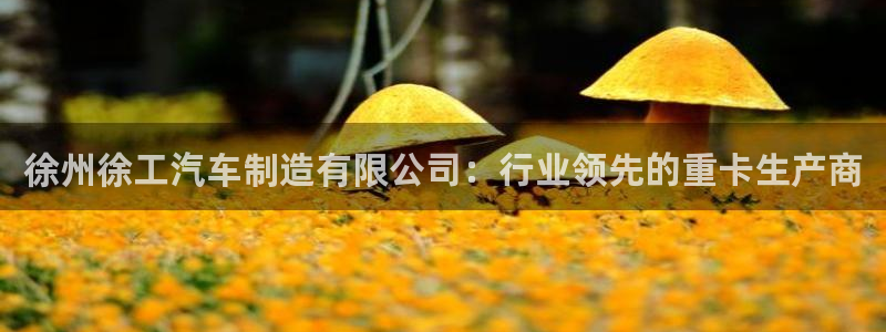 彩神v8首页：徐州徐工汽车制造有限公司：行业领先的重卡生产商