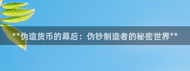 彩神争霸官方下载2017：**伪造货币的幕后：伪钞制造者的秘密世界**
