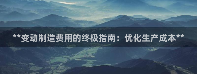 彩神大发官网：**变动制造费用的终极指南：优化生产成本**