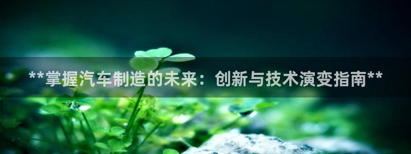 彩神是怎样一个平台赚钱的：**掌握汽车制造的未来：创新与技术