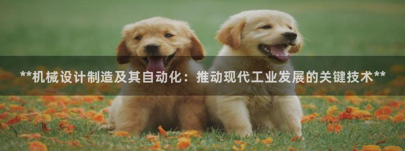 彩神邀请码:00-00-3267：**机械设计制造及其自动化：推动现代工业发展的关键技术**
