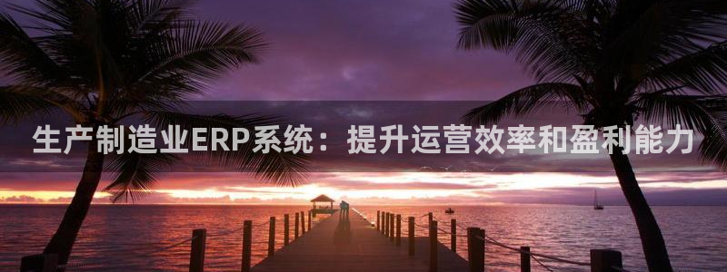 彩神网能赚钱是怎么回事：生产制造业ERP系统：提升运营效率和盈利能力