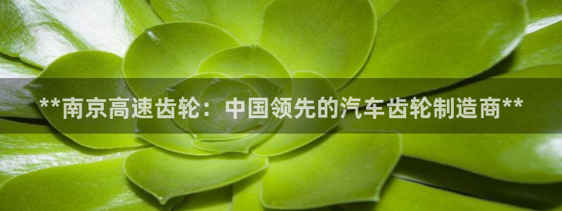 彩神vll趣投彩：**南京高速齿轮：中国领先的汽车齿轮制造商