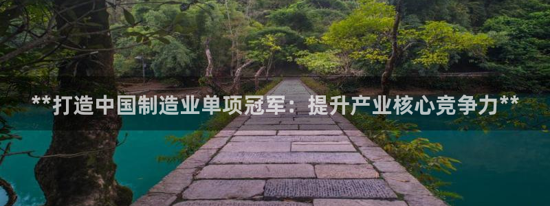 彩神v8是真的挣钱吗知乎：**打造中国制造业单项冠军：提升产业核心竞争力**