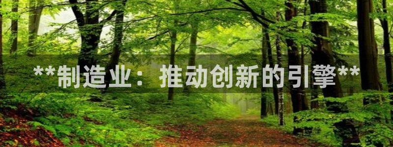 彩神争霸官网登录平台：**制造业：推动创新的引擎**