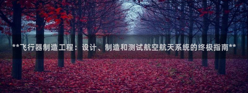 彩神iv能赚钱吗：**飞行器制造工程：设计、制造和测试航空航
