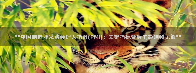 彩神平台是真的吗：**中国制造业采购经理人指数(PMI)：关