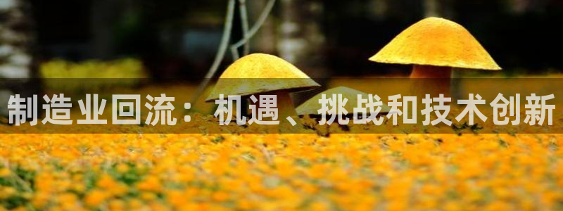 彩神vip官方网站：制造业回流：机遇、挑战和技术创新