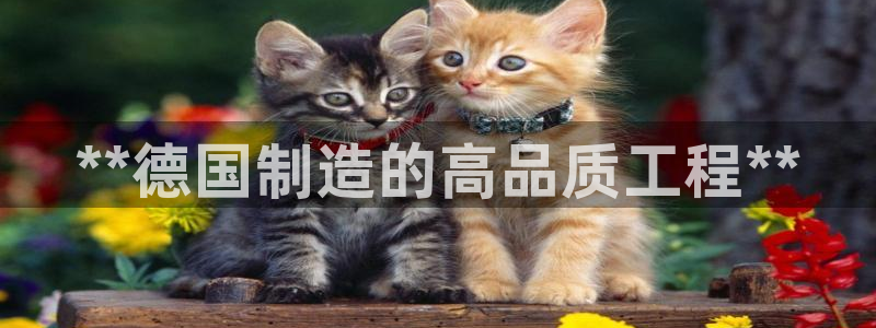 彩神v8手机客户端怎么下载：**德国制造的高品质工程**