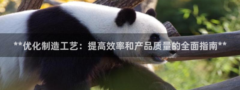 彩神vll购彩大厅大众：**优化制造工艺：提高效率和产品质量