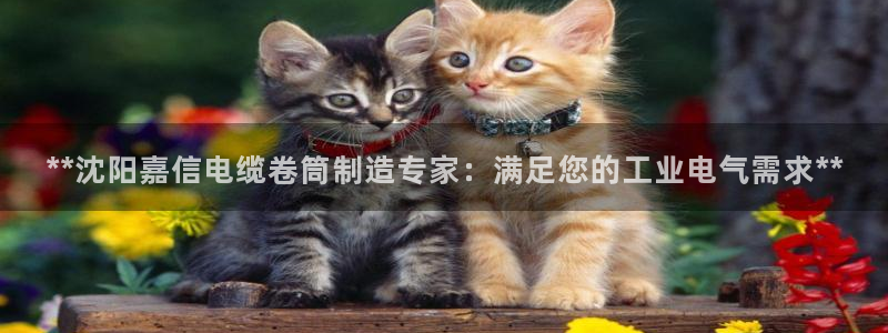 彩神新微聊：**沈阳嘉信电缆卷筒制造专家：满足您的工业电气需