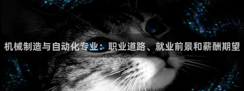 彩神vii官网：机械制造与自动化专业：职业道路、就业前景和薪酬期望