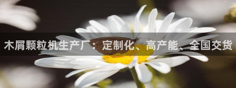 彩神v争霸是啥：木屑颗粒机生产厂：定制化、高产能、全国交货