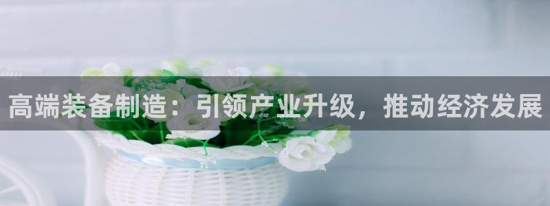 彩神ll能赚钱吗：高端装备制造：引领产业升级，推动经济发展