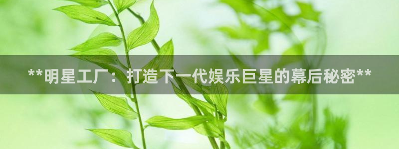 彩神赢的钱是哪里来的