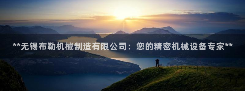 彩神购彩-购彩大厅入口36fr：**无锡布勒机械制造有限公司：您的精密机械设备专家**