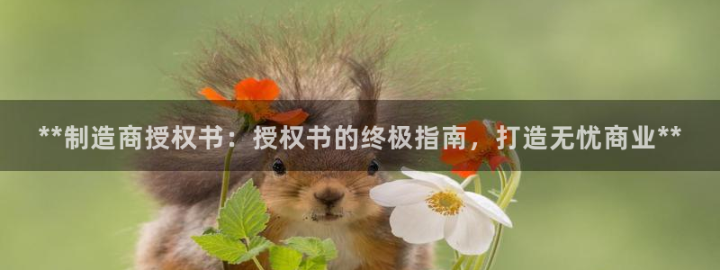 彩神vll官网在线登录：**制造商授权书：授权书的终极指南，打造无忧商业**