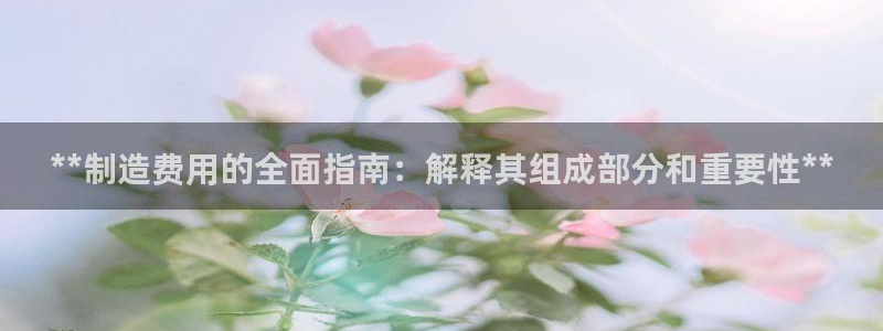 彩神v彩搜狗：**制造费用的全面指南：解释其组成部分和重要性**