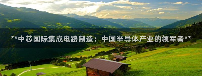 彩神xapp官方网站：**中芯国际集成电路制造：中国半导体产