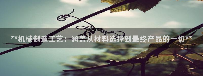 彩神velcome购彩大厅：**机械制造工艺：涵盖从材料选择到最终产品的一切**