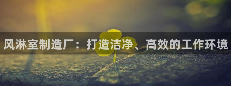新版彩神v8登录：风淋室制造厂：打造洁净、高效的工作环境