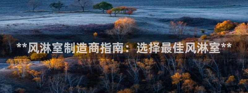 彩神购彩-购彩大厅入口娱乐首选：**风淋室制造商指南：选择最