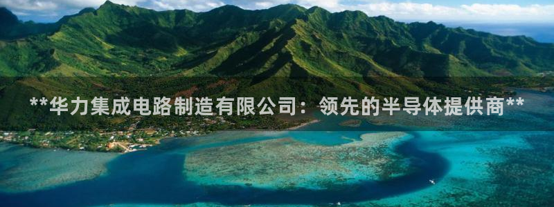 彩神网能赚钱是怎么回事：**华力集成电路制造有限公司：领先的半导体提供商**