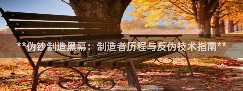 彩神ix是真的吗：**伪钞制造黑幕：制造者历程与反伪技术指南**