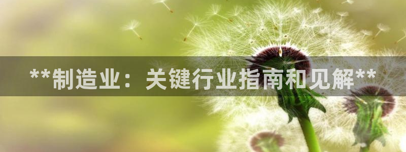 彩神v8客户端：**制造业：关键行业指南和见解**
