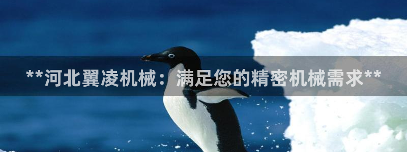 彩神v8手机客户端：**河北翼凌机械：满足您的精密机械需求**