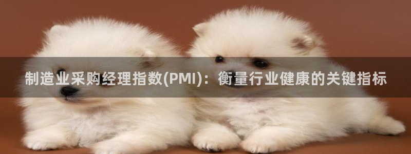 彩神赢的钱是哪里来的：制造业采购经理指数(PMI)：衡量行业健康的关键指标