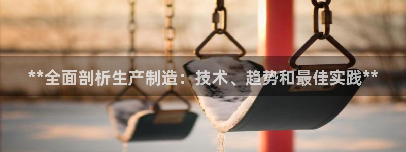 彩神8软件下载：**全面剖析生产制造：技术、趋势和最佳实践*