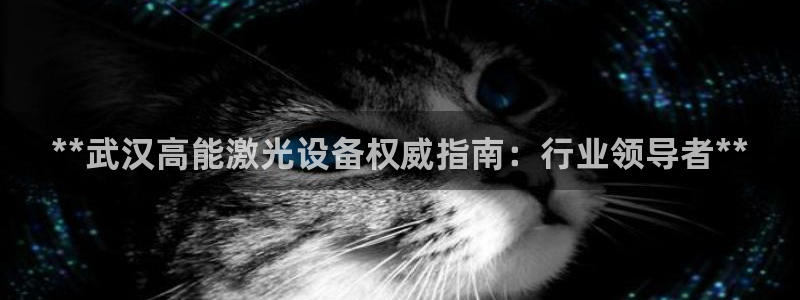 彩神邀请码:00-00-3267：**武汉高能激光设备权威指