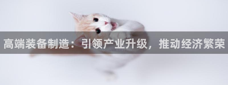 彩神v8有多久了?靠谱吗：高端装备制造：引领产业升级，推动经济繁荣