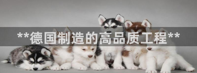 彩神网可以赚钱是真的吗：**德国制造的高品质工程**