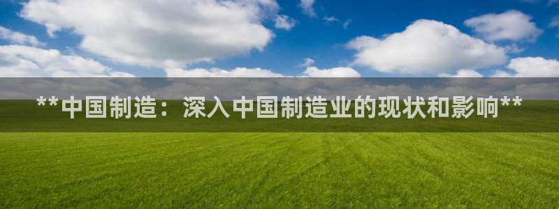 大发彩神官网下载：**中国制造：深入中国制造业的现状和影响**