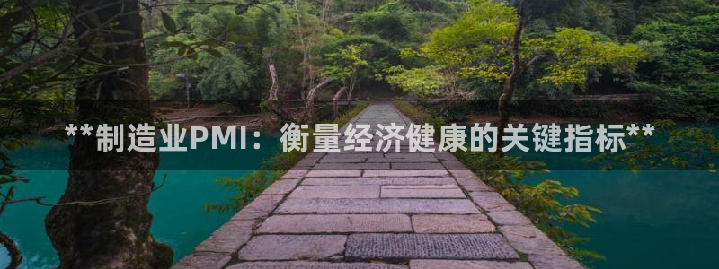 彩神ix官网：**制造业PMI：衡量经济健康的关键指标**