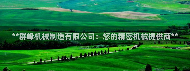下载彩神通关注金码：**群峰机械制造有限公司：您的精密机械提供商**
