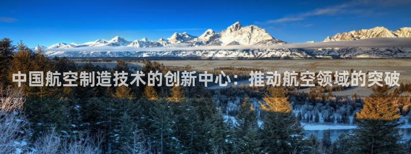 新版彩神v8登录教程：中国航空制造技术的创新中心：推动航空领域的突破